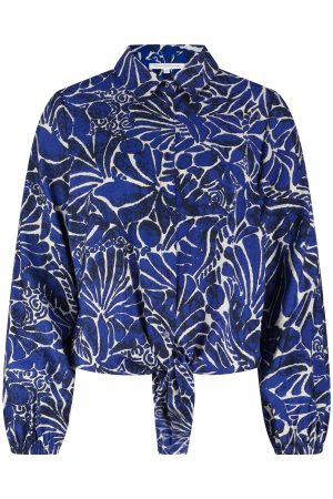 Tramontana C31-19-301