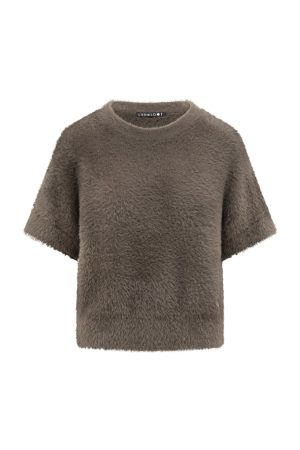 Label DOT 2626012