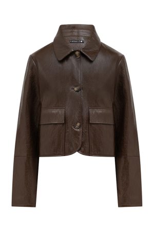 Label DOT 2627006